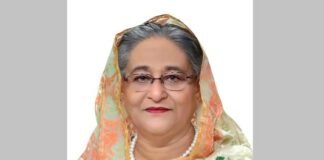 Depict BNP's misrule, country's current development to foreigners: PM
